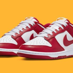 Nike SB Dunk Sneakers for Women
