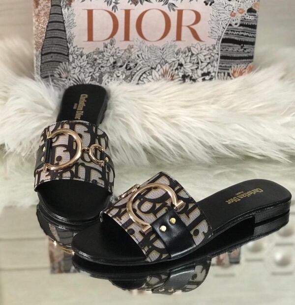 Shop Christian Dior Flats Master Copy at Rs. 2750. Sizes 36–42. Premium replica slippers for women with brand box. Delivery all over Pakistan.