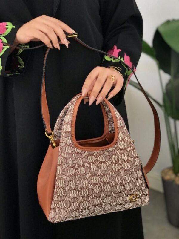 COACH LANA Hand Bag Master Copy | Luxury Replica in Pakistan