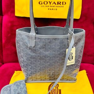 Goyard Bags Master Copy in Pakistan – Premium Mini Tote Bag with Pouch