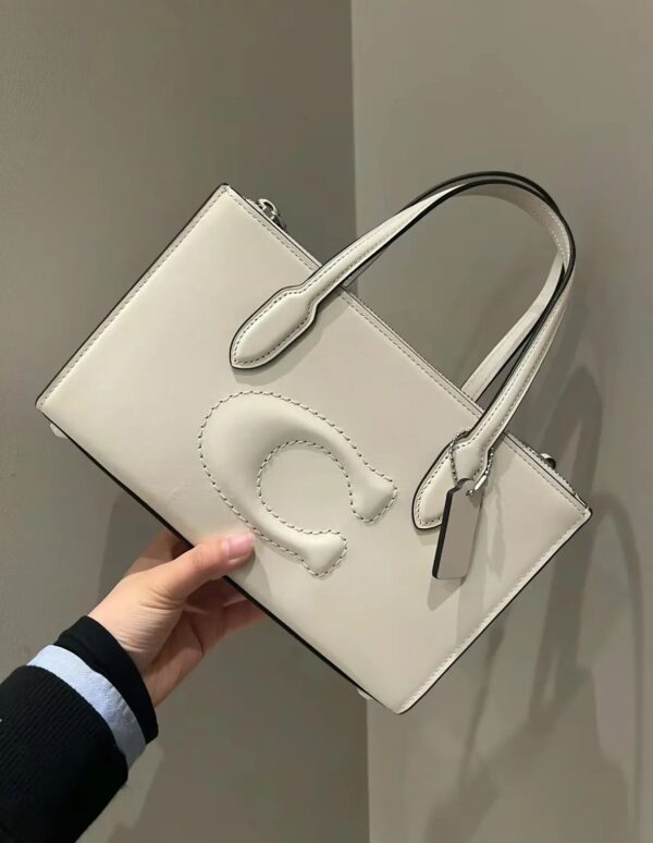Coach replica handbag with brand box and dust bag