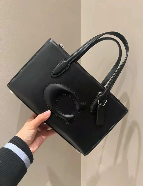 Coach replica handbag with brand box and dust bag