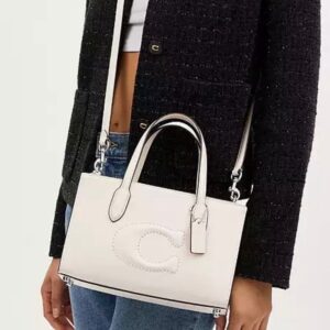 Coach replica handbag with brand box and dust bag