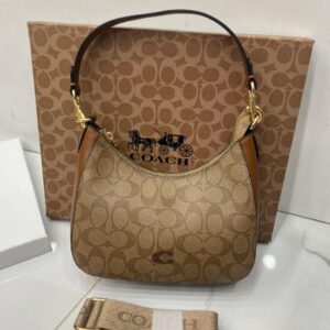 Coach Teri Shoulder Bag Master Copy in Pakistan – Signature Canvas Replica
