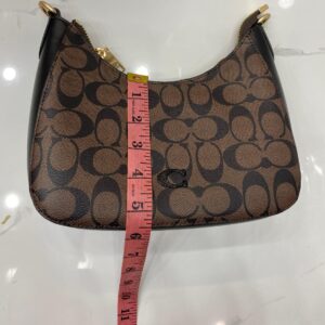 Coach Teri Shoulder Bag Master Copy in Pakistan – Signature Canvas Replica