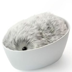 Casio Moflin Smart Emotional Pet Moflin AI Pet Robot in Pakistan