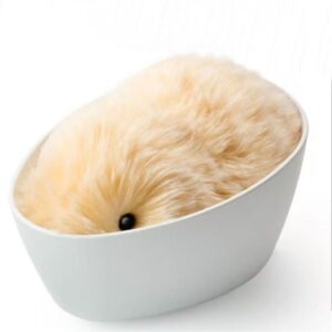 Casio Moflin Smart Emotional Pet Moflin AI Pet Robot in Pakistan