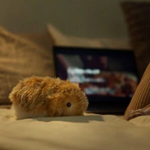 Casio Moflin Smart Emotional Pet Moflin AI Pet Robot in Pakistan