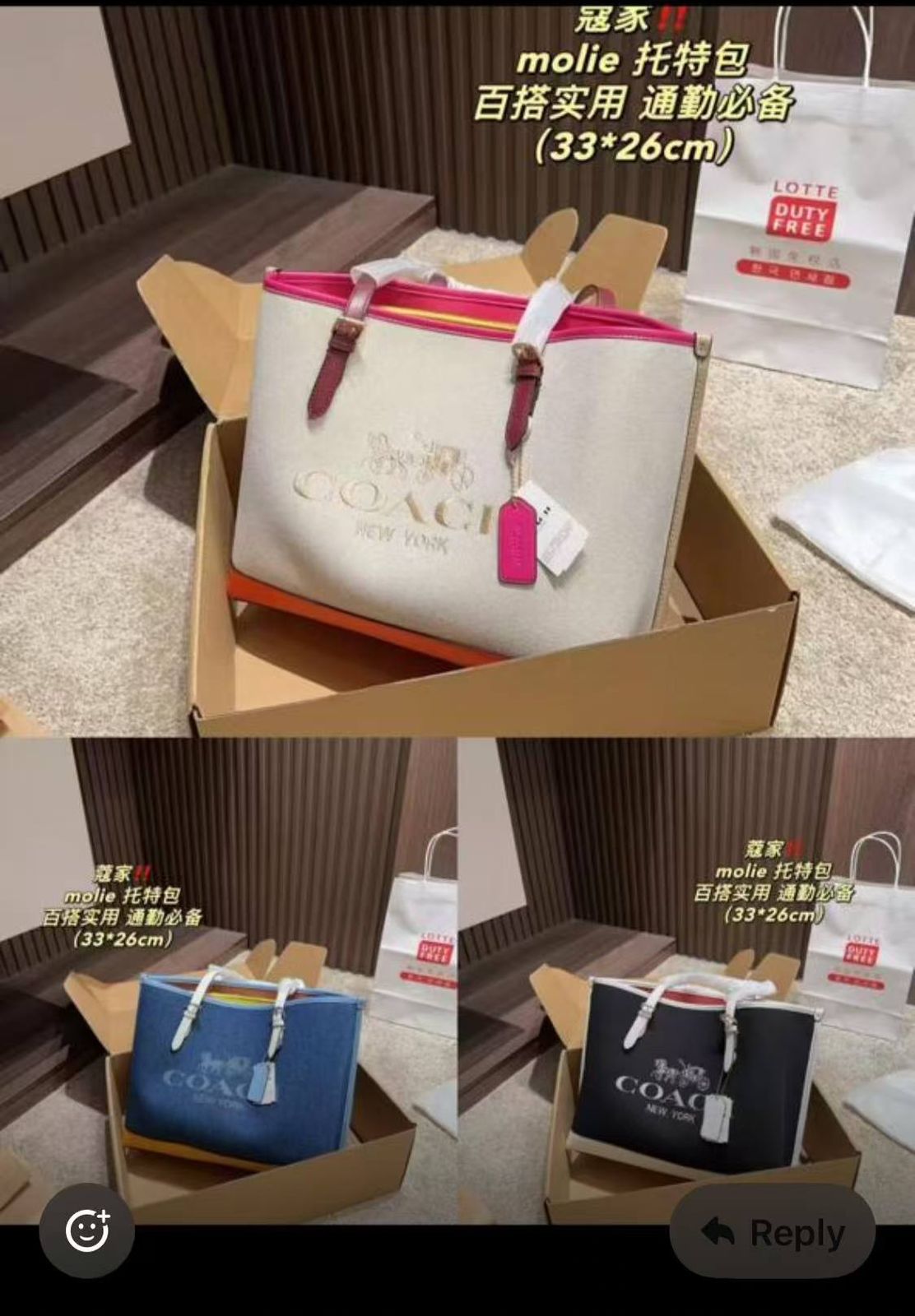 Coach Master Series Handbag Pakistan by Shop2Door Store