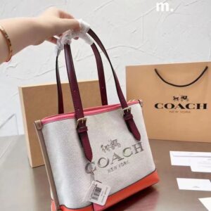 Coach Master Series Handbag Pakistan by Shop2Door Store