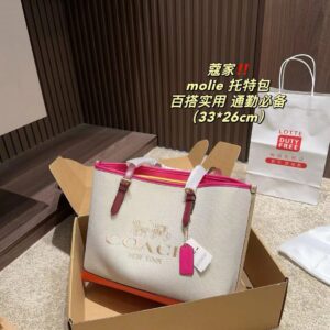 Coach Master Series Handbag Pakistan by Shop2Door Store