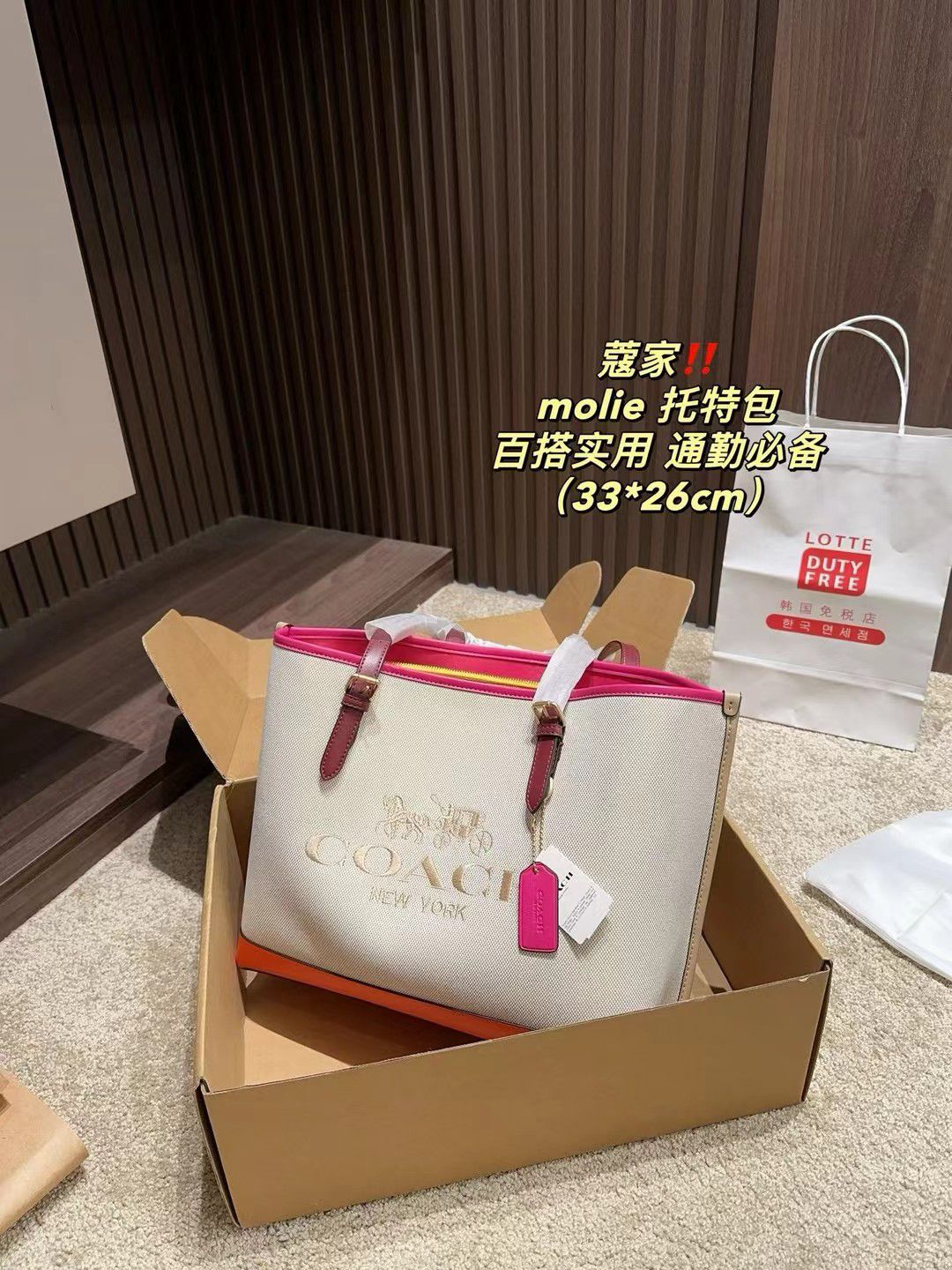 Coach Master Series Handbag Pakistan by Shop2Door Store