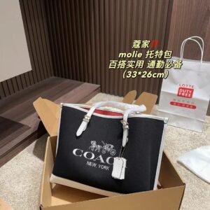Coach Master Series Handbag Pakistan by Shop2Door Store