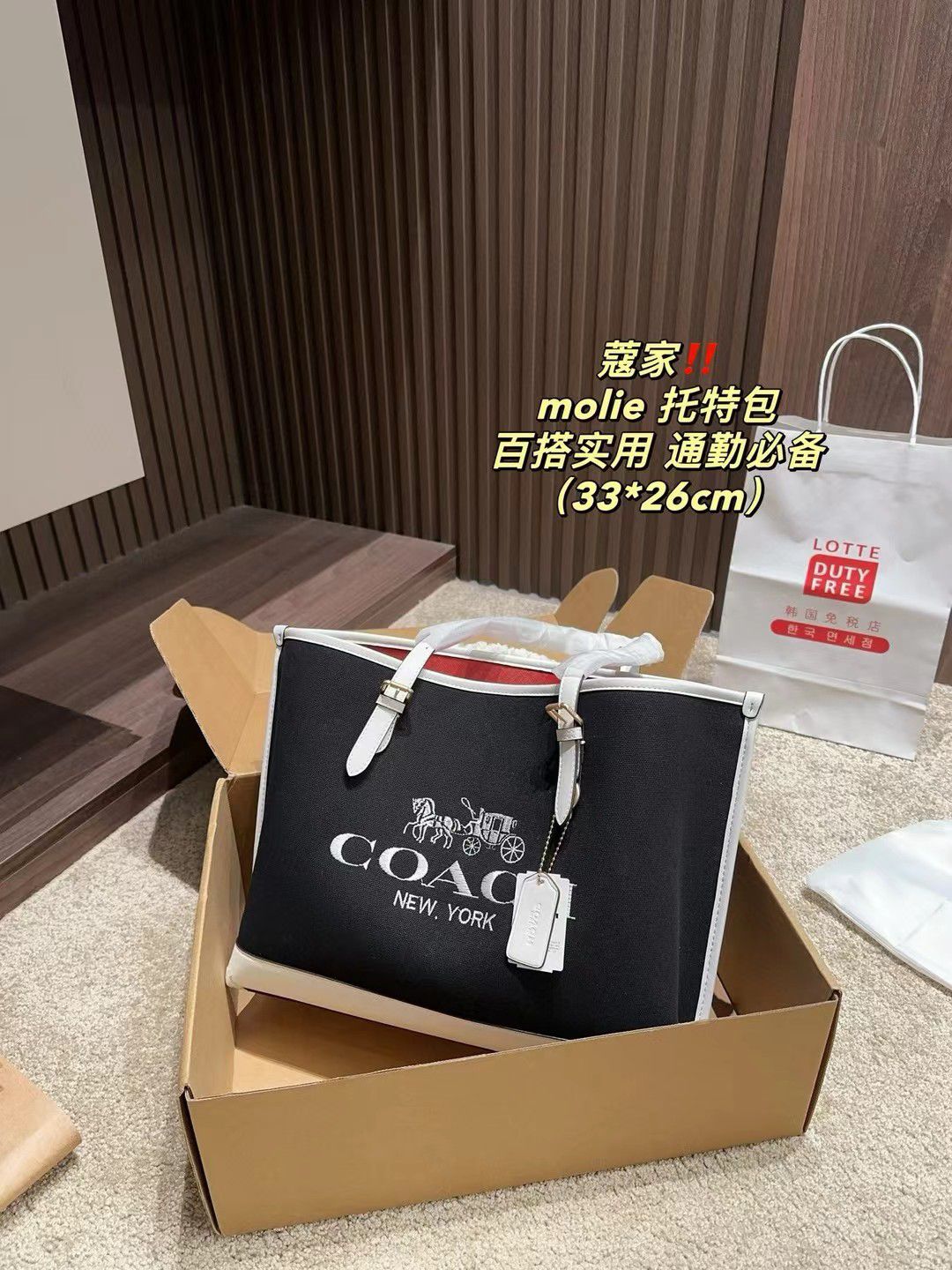 Coach Master Series Handbag Pakistan by Shop2Door Store