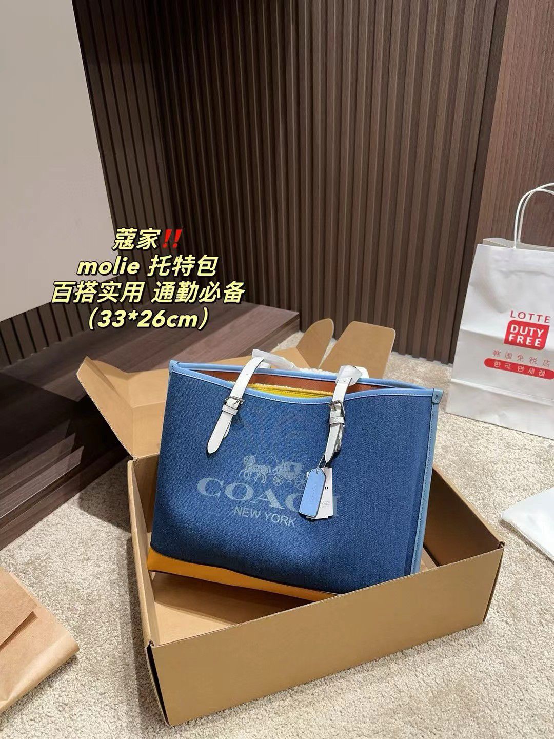 Coach Master Series Handbag Pakistan by Shop2Door Store