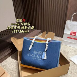 Coach Master Series Handbag Pakistan by Shop2Door Store