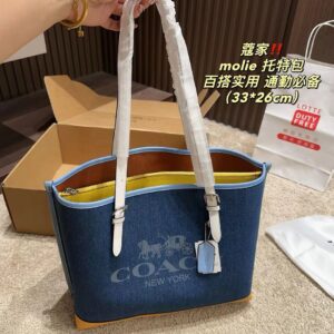 Coach Master Series Handbag Pakistan by Shop2Door Store