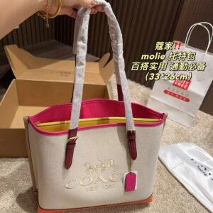 Coach Master Series Handbag Pakistan by Shop2Door Store