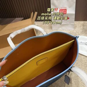 Coach Master Series Handbag Pakistan by Shop2Door Store