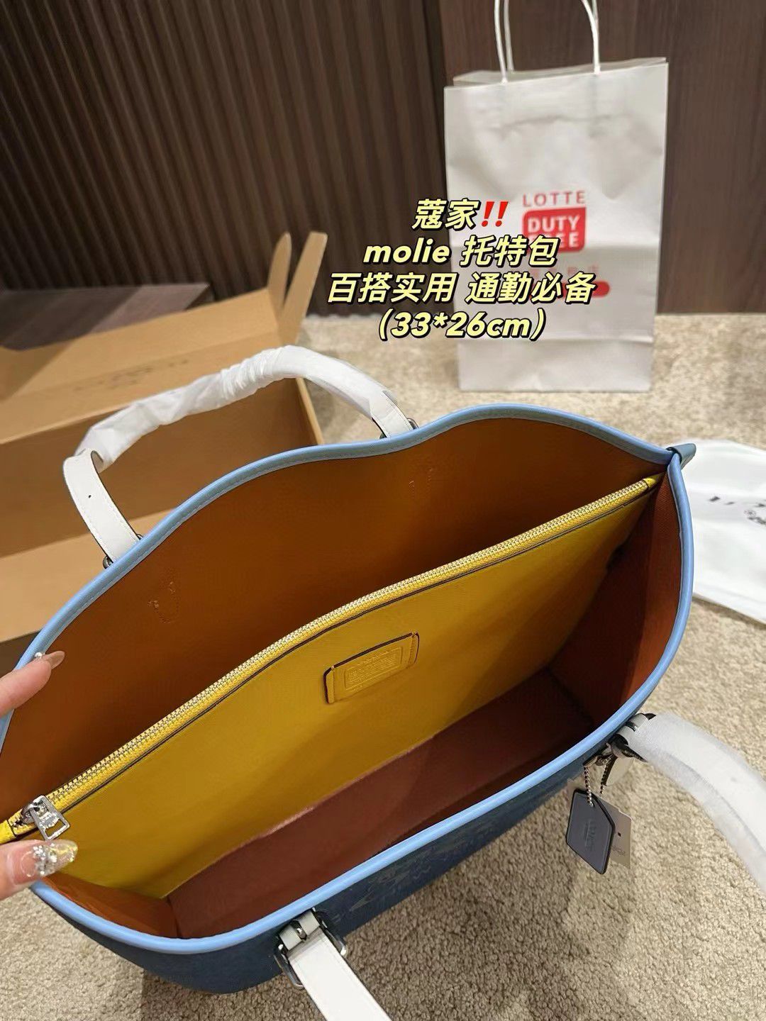 Coach Master Series Handbag Pakistan by Shop2Door Store