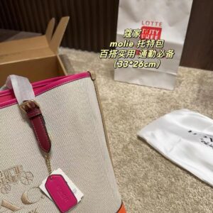 Coach Master Series Handbag Pakistan by Shop2Door Store