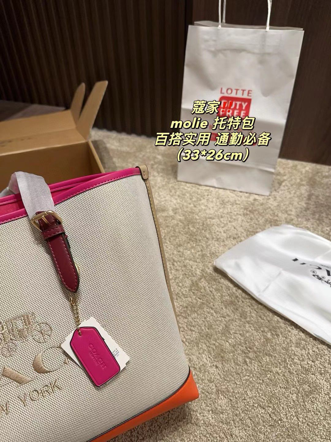 Coach Master Series Handbag Pakistan by Shop2Door Store