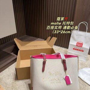 Coach Master Series Handbag Pakistan by Shop2Door Store