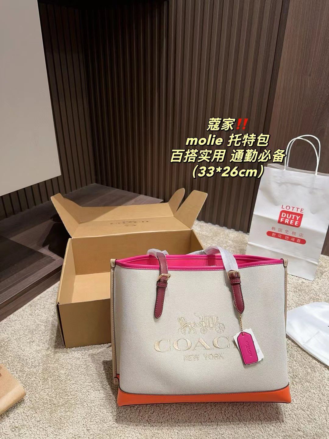 Coach Master Series Handbag Pakistan by Shop2Door Store