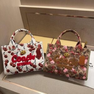 COACH Cherry Handbag – Stylish Shoulder Bag in Pakistan