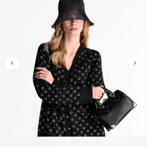 LOUIS VUITTON Speedy Trunk 20 Handbag in Black