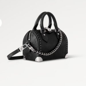 LOUIS VUITTON Speedy Trunk 20 Handbag in Black