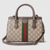 GUCCI Ophidia Small Tote Bag premium women's luxury handbag Pakistan