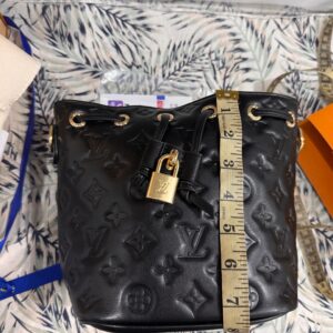 Coussin Bucket M26216 premium leather handbag for women in Pakistan