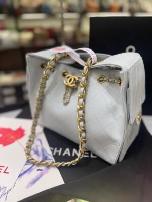Chanel 25 Hobo Bag for Women – Special Edition