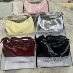 Charles & Keith Atwood Chain-Embellished Shoulder Bag with box and dust bag
